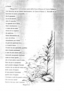 Lettera da un famigliare